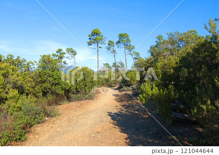 Path at top of mountain. Nature and pine trees. Landscape of Mediterranean Sea. Hiking, tourism and vacation.  121044644
