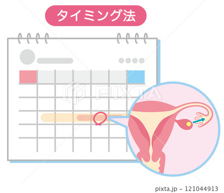 不妊治療　不妊症　タイミング法　印の付いたカレンダー 121044913
