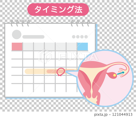 不妊治療　不妊症　タイミング法　印の付いたカレンダー 121044913