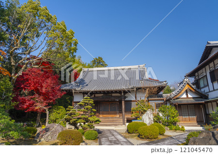紅葉に包まれた西方寺 本堂(京都市北区西賀茂) 紅葉に包まれた西方寺 本堂(京都市北区西賀茂) 121045470