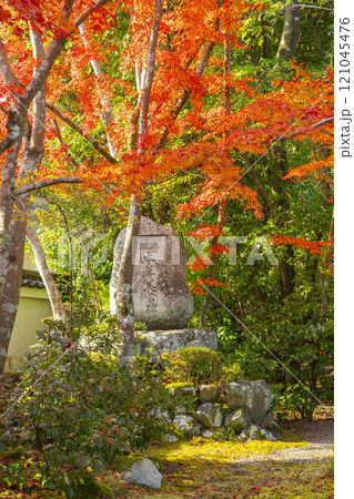 紅葉に包まれた西方寺（京都市北区西賀茂） 121045476