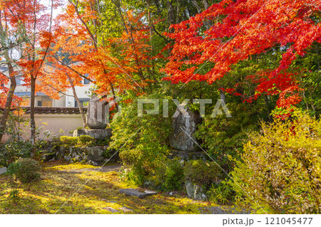 紅葉に包まれた西方寺(京都市北区西賀茂) 紅葉に包まれた西方寺(京都市北区西賀茂) 121045477