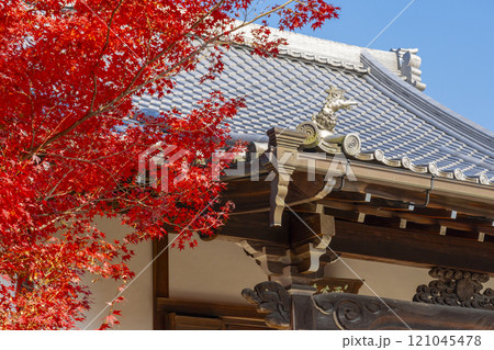 紅葉に包まれた西方寺(京都市北区西賀茂) 紅葉に包まれた西方寺(京都市北区西賀茂) 121045478