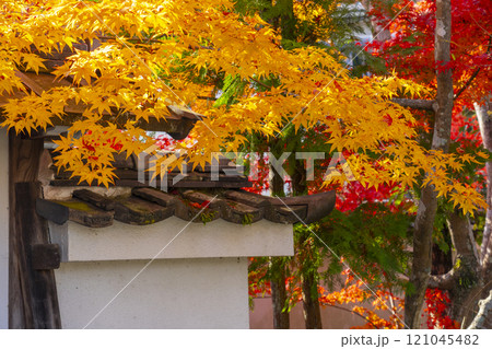 紅葉に包まれた西方寺(京都市北区西賀茂) 紅葉に包まれた西方寺(京都市北区西賀茂) 121045482