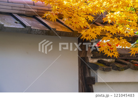 紅葉に包まれた西方寺(京都市北区西賀茂) 紅葉に包まれた西方寺(京都市北区西賀茂) 121045483