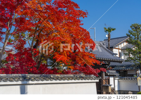 紅葉に包まれた西方寺(京都市北区西賀茂) 紅葉に包まれた西方寺(京都市北区西賀茂) 121045485