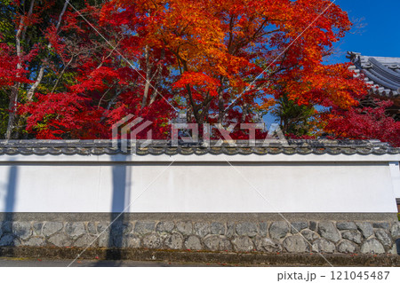 紅葉に包まれた西方寺　白壁（京都市北区西賀茂） 121045487