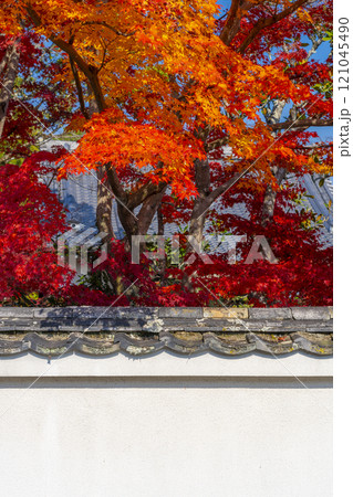 紅葉に包まれた西方寺（京都市北区西賀茂） 121045490