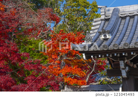 紅葉に包まれた西方寺(京都市北区西賀茂) 紅葉に包まれた西方寺(京都市北区西賀茂) 121045493