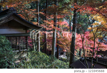 もみじが美しい紅葉スポット 121045688