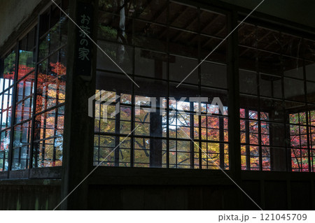 もみじが美しい紅葉スポット 121045709