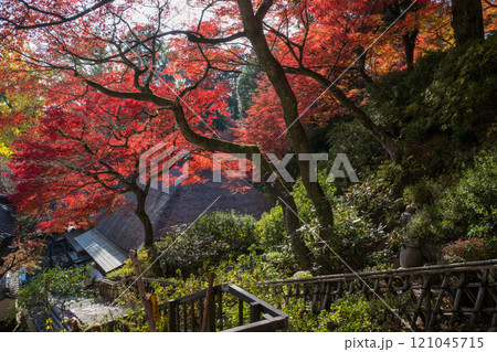 もみじが美しい紅葉スポット 121045715