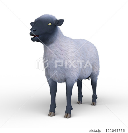 ヒツジ 121045756