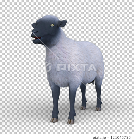 ヒツジ 121045756
