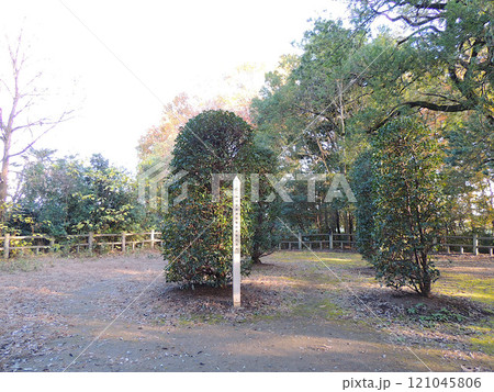 氷川女體神社 磐船祭祭祀遺跡 121045806