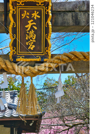 水火天満宮 美しい枝垂れ桜(京都府京都市上京区) 水火天満宮 美しい枝垂れ桜(京都府京都市上京区) 121046234