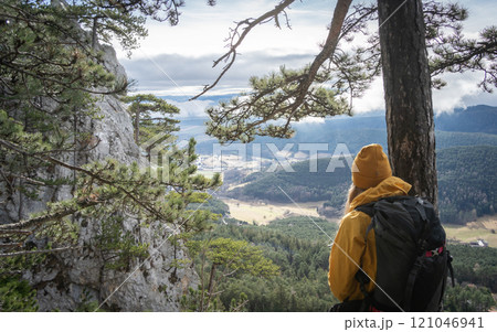 Female hiker enjoying views on valley below from forest high above, Austria, Europe Female hiker enjoying views on valley below from forest high above, Austria, Europe 121046941