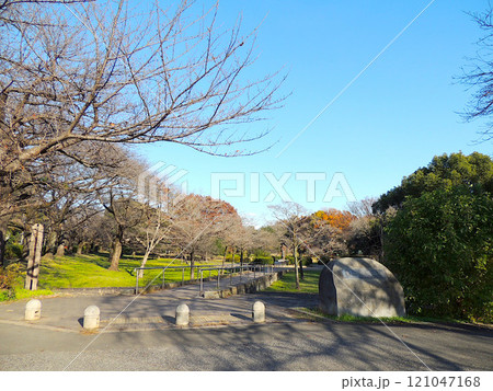 見沼氷川公園 見沼氷川公園 121047168