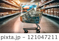 Shopping Cart Filled With Money in Grocery Store Aisle 121047211