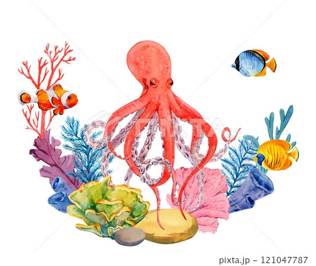 Coral reefs with tropical fish, rocks and algae. Composition with orange octopus. Bright watercolor illustration. The plot for the design of banners, souvenirs, postcards, posters, design and printing 121047787