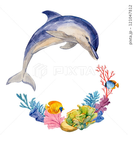 Dolphin jumps on a white background. Composition of corals, tropical fish and algae.Watercolor illustration of Delphinus delphis. A rare marine mammal in need of protection. Dolphin jumps on a white background. Composition of corals, tropical fish and algae.Watercolor illustration of Delphinus delphis. A rare marine mammal in need of protection. 121047812