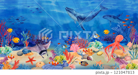 Underwater landscape with coral reef, mana rays, octopus, fish and shells. Seascape, illustration. Ocean water scene with two humpback whales. The bottom of the ocean in the tropics. Underwater landscape with coral reef, mana rays, octopus, fish and shells. Seascape, illustration. Ocean water scene with two humpback whales. The bottom of the ocean in the tropics. 121047813