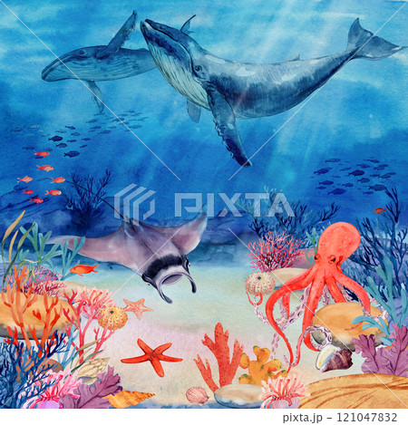 Underwater landscape with coral reef, mana rays, fish and shells. Seascape, illustration. Ocean water scene with two humpback whales. The bottom of the ocean in the tropics. 121047832
