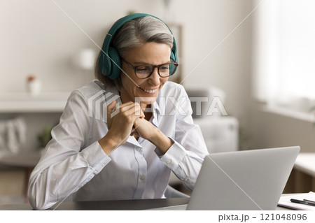 Cheerful middle aged business woman working at laptop Cheerful middle aged business woman working at laptop 121048096