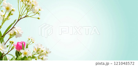 White flowers with green leaves and pink tulip on soft light blue background, spring floral banner, delicate nature, fresh blooming plants, minimal design White flowers with green leaves and pink tulip on soft light blue background, spring floral banner, delicate nature, fresh blooming plants, minimal design 121048572