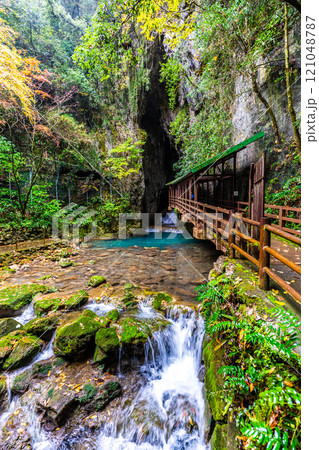 秋芳洞　正面入口【山口県美祢市】 121048787