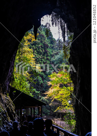 秋芳洞　正面入口 洞内から【山口県美祢市】 121048852