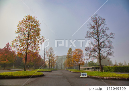 朝霧に包まれた紅葉の市立美術館 朝霧に包まれた紅葉の市立美術館 121049599