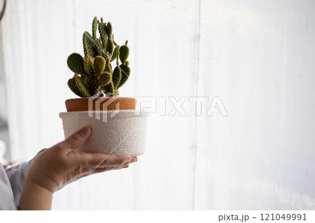 サボテンの鉢植えを持って窓際に立っている女性の手元 121049991