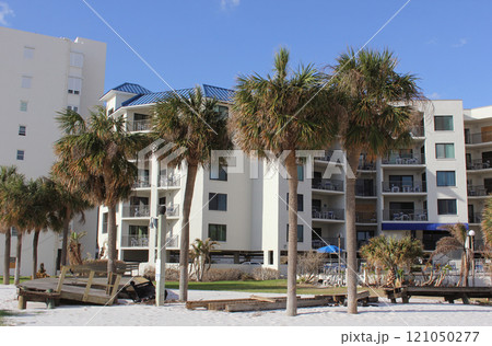 Palm Trees and Buildings on St Pete Beach FL With Damage After Hurricane Milton Palm Trees and Buildings on St Pete Beach FL With Damage After Hurricane Milton 121050277