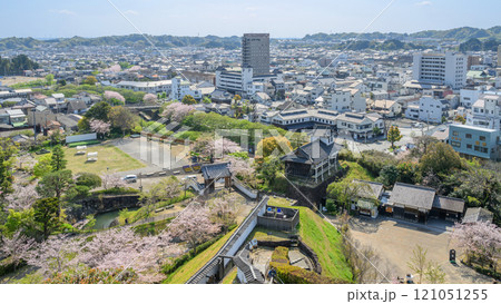 掛川城天守からの桜と四足門・太鼓櫓 121051255