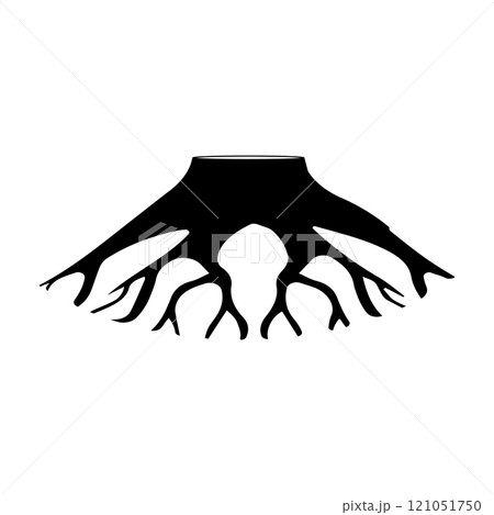 tree root icon tree root icon 121051750