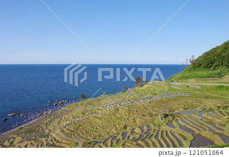 石川県輪島市　白米千枚田 121051864