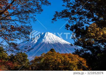 【静岡県_富士宮市_白糸の滝】紅葉と富士山 秋編 11月のタグ 121052074