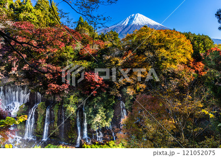 【静岡県_富士宮市_白糸の滝】紅葉と富士山 秋編 11月のタグ 121052075