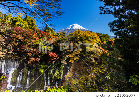 【静岡県_富士宮市_白糸の滝】紅葉と富士山 秋編 11月のタグ 121052077