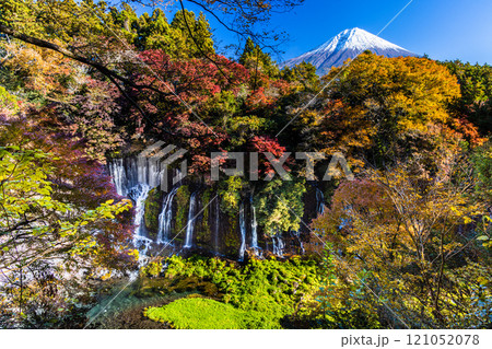【静岡県_富士宮市_白糸の滝】紅葉と富士山 秋編 11月のタグ 【静岡県_富士宮市_白糸の滝】紅葉と富士山 秋編 11月のタグ 121052078