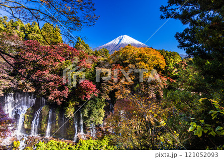 【静岡県_富士宮市_白糸の滝】紅葉と富士山 秋編 11月のタグ 121052093
