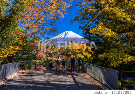 【静岡県_富士宮市_白糸の滝】紅葉と富士山 秋編 11月のタグ 【静岡県_富士宮市_白糸の滝】紅葉と富士山 秋編 11月のタグ 121052096