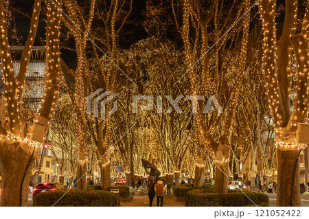 2024 SENDAI光のページェントのイルミネーション 宮城県仙台市 2024 SENDAI光のページェントのイルミネーション 宮城県仙台市 121052422