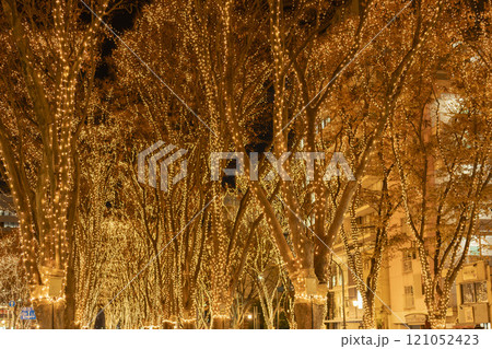 2024 SENDAI光のページェントのイルミネーション 宮城県仙台市 2024 SENDAI光のページェントのイルミネーション 宮城県仙台市 121052423