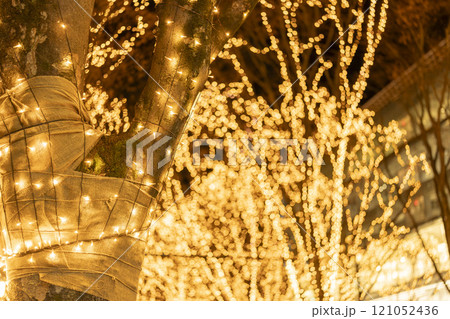 2024　SENDAI光のページェントのイルミネーション　宮城県仙台市 121052436