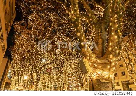 2024　SENDAI光のページェントのイルミネーション　宮城県仙台市 121052440