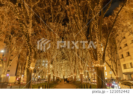 2024　SENDAI光のページェントのイルミネーション　宮城県仙台市 121052442