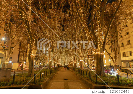 2024 SENDAI光のページェントのイルミネーション 宮城県仙台市 2024 SENDAI光のページェントのイルミネーション 宮城県仙台市 121052443