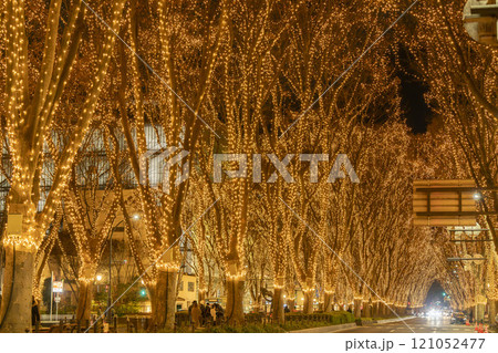 2024 SENDAI光のページェントのイルミネーション 宮城県仙台市 2024 SENDAI光のページェントのイルミネーション 宮城県仙台市 121052477